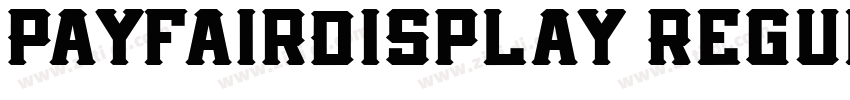 PayfairDisplay Regul字体转换